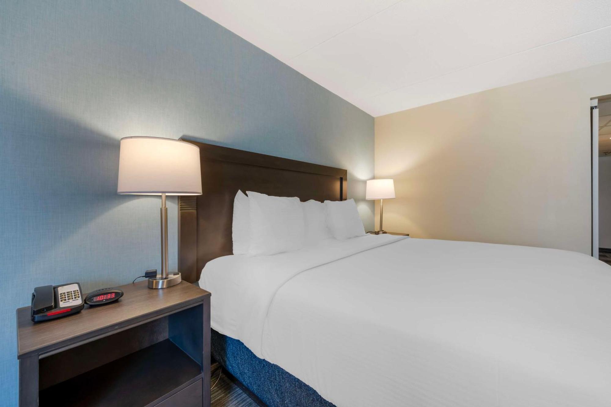Best Western Plus Alexandria Fort Belvoir Mount Vernon Exteriör bild